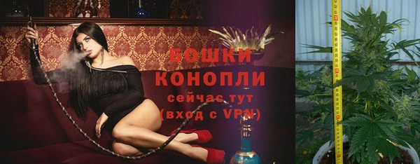 МДПВ Магас