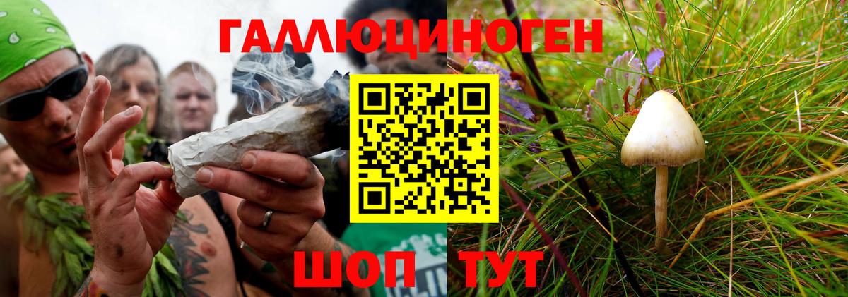 Конаково  купить наркоту  Галлюциногенные грибы прущие грибы  Вход с VPN  Галлюциногенные грибы Cubensis 